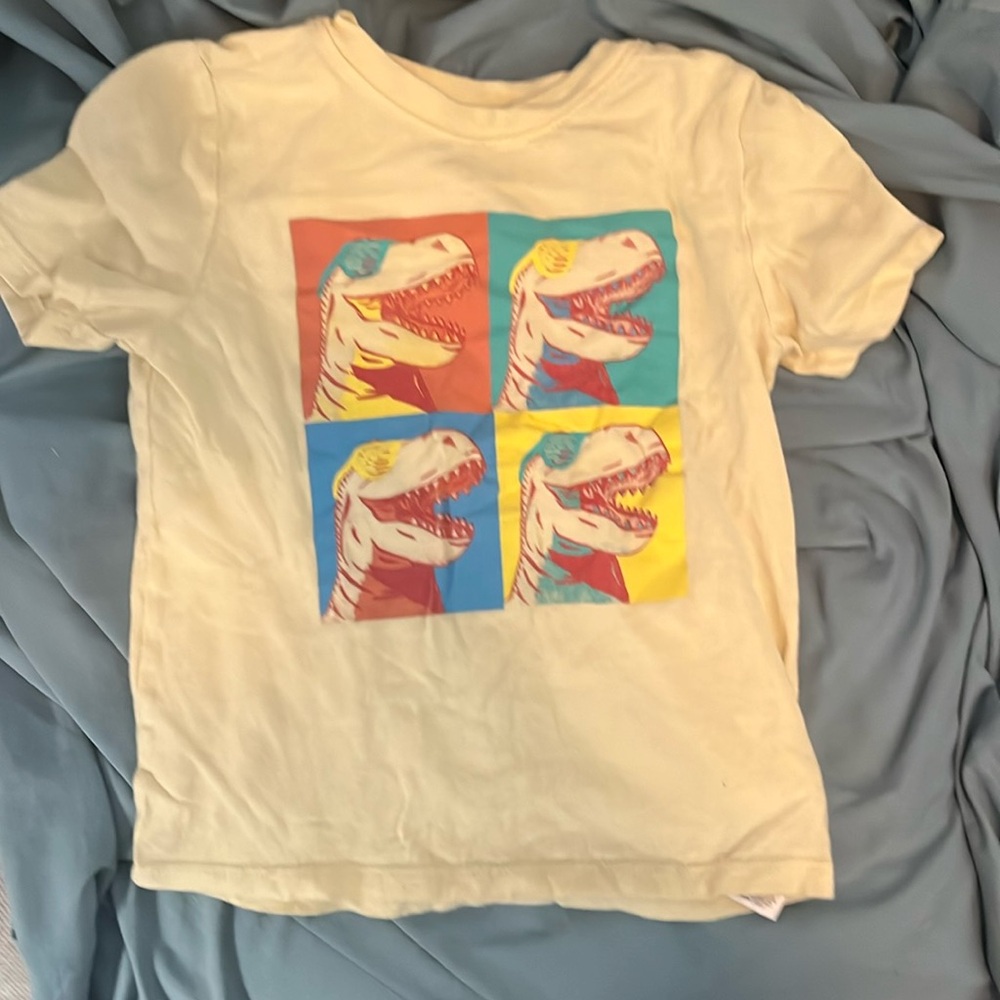Little boy 5t dinosaur tshirt